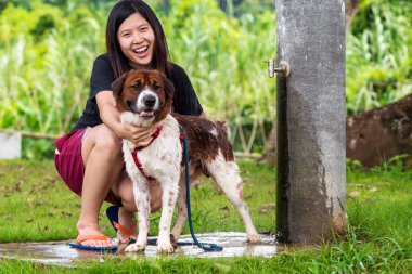 Asyalı kadın duş için köpeğin işi 