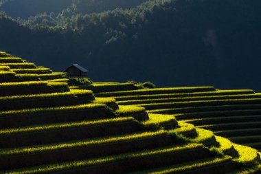 Closeup gündoğumu zaman, Yenbai Eyaleti, Kuzey Vietnam, solucan tonu Mu Cang Chai bölgesinde pirinç tarlaları ile geleneksel ev Teras