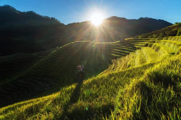 Anak Anak Vietnam Yang Tidak Terdefinisi Menunjuk Mimpi Teras Beras — Stok Foto