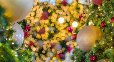 Noel ağacı arka planı 