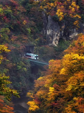 Manzara sahnede şaşırtıcı değil Gorge, çok renkli sonbahar sezon Japonya, ulaşım ve peyzaj kavramı içinde yağmur zaman