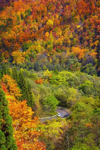 交通機関の概念では 道路上の車で秋のシーズンの平面図からの風景シーン — ストック写真