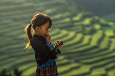Yenbai, Vietnam - 22nd Eylül 2017: Tanımsız Vietnamca Hmong çocuk eattng mu cang chai. bölgede pirinç Teras üzerinde