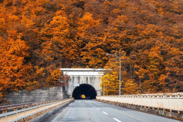 개념에도 자동차 터널으로가 시즌의 — 스톡 사진