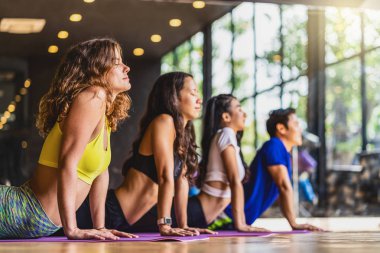 Yoga, sağlıklı ya da meditasyon egzersizleri yapan, yukarı bakan köpek egzersizleri yapan, spor sutyen ve pantolon giyen, spor ve sağlık sigortası konsepti olan bir grup çeşitlilik.,