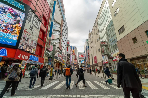 Tokyo Japón Feb 2019 Peatones Multitudinarios Personas Indefinidas Caminando Por — Foto de Stock