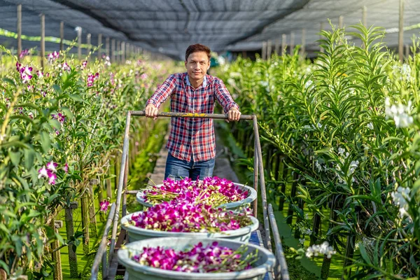 Ritratto Asiatico Piccolo Imprenditore Orchidea Giardinaggio Fattoria Felicità Fondatore Raccogliendo — Foto Stock