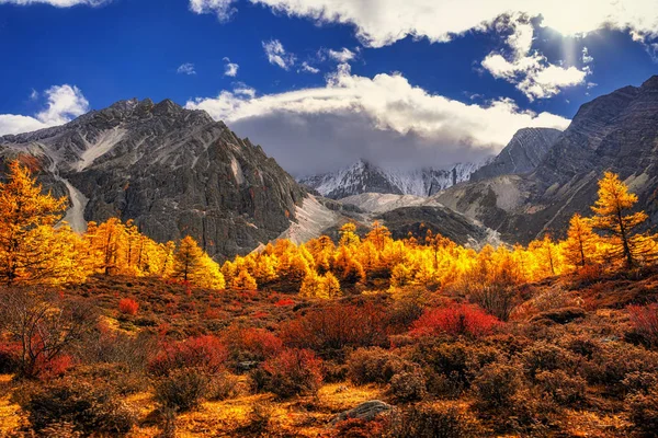 Hora Podzimní Sezóně Yading Přírodní Rezervace Daocheng County Jihozápadně Provincie — Stock fotografie