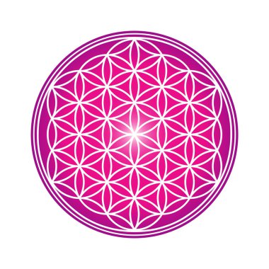 Yaşam Çiçeği tasarım resmi, vektör çizimi. Kutsal geometri, şifa ve denge sembolü.