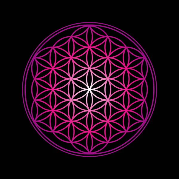 Imagen Diseño Flor Vida Ilustración Vectorial Geometría Sagrada Curación Símbolos — Vector de stock