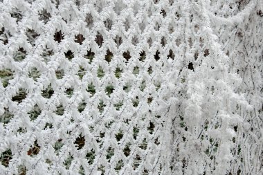 Hoarfrost çit hasır üzerinde