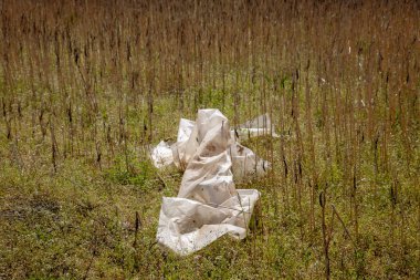 Bir parça atılmış plastik. 