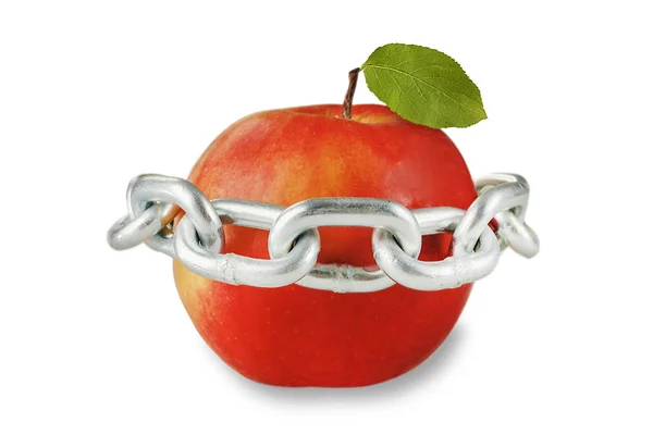 Jabłko zamknięte w łańcuchu metalowym2 — Zdjęcie stockowe