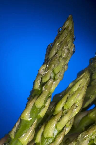 Watedrops em espargos no fundo azul — Fotografia de Stock