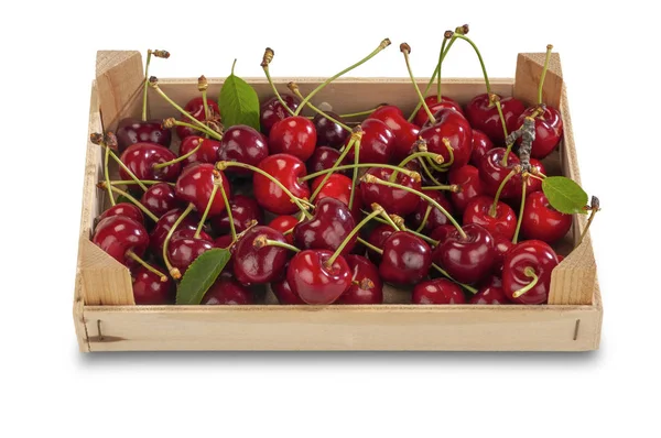 Cerezas frescas en una caja sobre fondo blanco —  Fotos de Stock