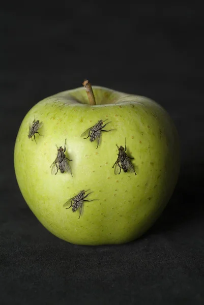 Manzana verde con moscas —  Fotos de Stock