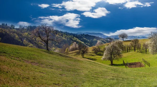 Panorama Del Paisaje Bansice Cerca Nova Gorica Eslovenia — Foto de Stock