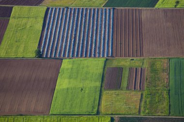 Slovenya 'nın Vipava Vadisi yakınlarındaki Cerje' nin Görme Noktasından Alanların Soyut Kompozisyonu