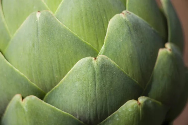 Macro Close Photo Artichoke Bulb Early Growth State — Stock Photo, Image