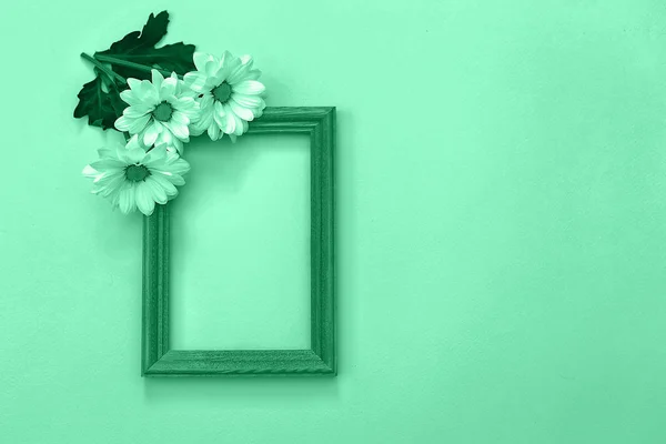 White chrysanthemum with wooden frame and copy space on a green background — Stock Photo, Image