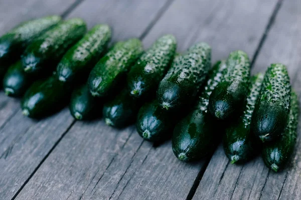 Cucumbers on wooden surface. Seasonal vegetables. Fresh vegetables. Healthy diet. Copy space