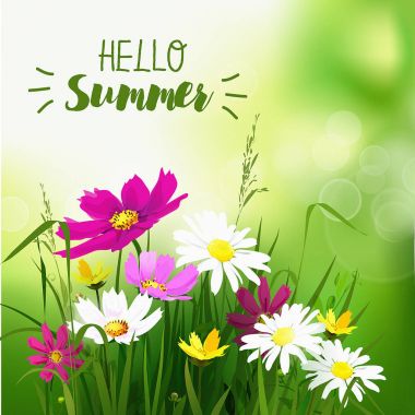 Yaz kır çiçekleri arka plan