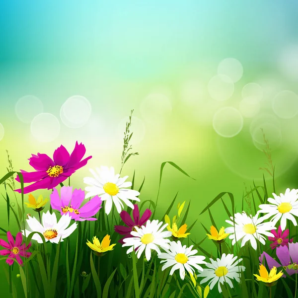 Merhaba, yaz geçmişi.