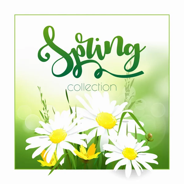 Tiempo de primavera en el fondo con flores de primavera — Vector de stock