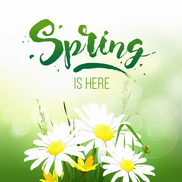 Güzel renkli çiçekli bahar satış arka plan.