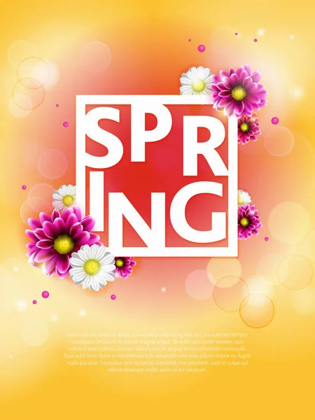 Tavaszi háttér gyönyörű színes virág — Stock Fotó