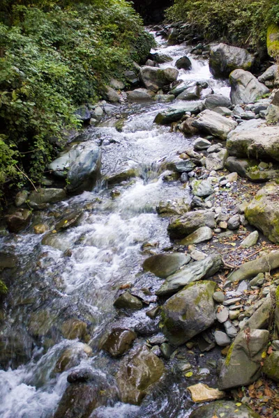 Little Mountain River. Cáucaso. Krasnaya Polyana. Sochi. — Fotografia de Stock