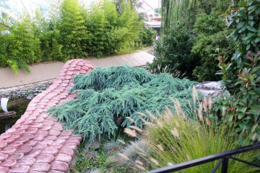 Sochi, Rusya. Sochi Parkı - Sochi şehrindeki tema parkı. Sonbahar manzaraları