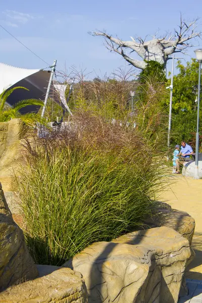 Sotschi, Russland. Sotschi Park - Freizeitpark in der Stadt Sotschi. Herbstlandschaften — Stockfoto