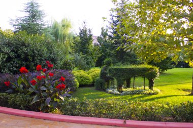 Sochi, Rusya. Sochi Parkı - Sochi şehrindeki tema parkı. Sonbahar manzaraları