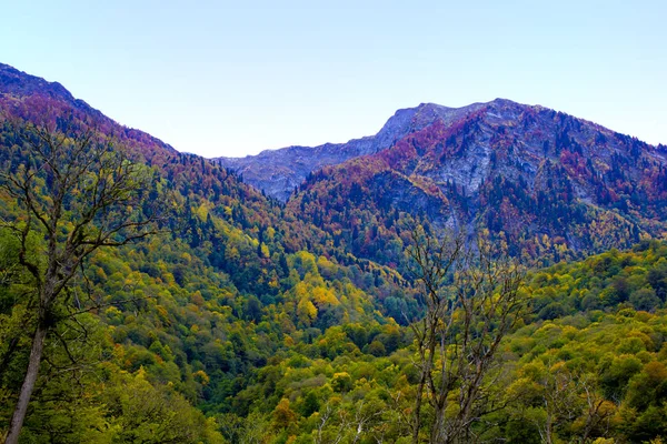 Soçi, Kafkasya 'daki Picturesque Dağı. Gorky Gorod. Panoramik dağ görünümü