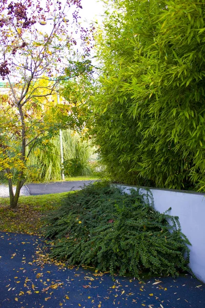 Sochi, Russia. Sochi Park - theme park in the city of Sochi. Autumn landscapes — Stock Photo, Image