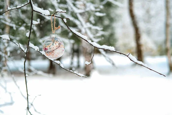 Karácsonyi csecsebecse a havas ágon. — Stock Fotó