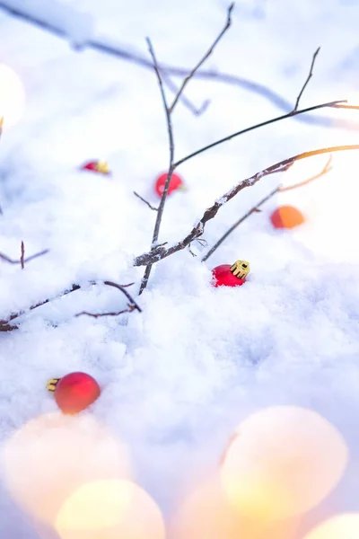 Piros karácsonyi golyó a hó. — Stock Fotó
