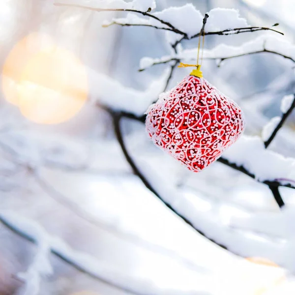 Julgranskula på den snöiga grenen. — Stockfoto