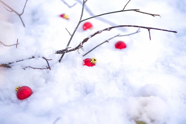 Boules de Noël rouges sur neige . — Photo