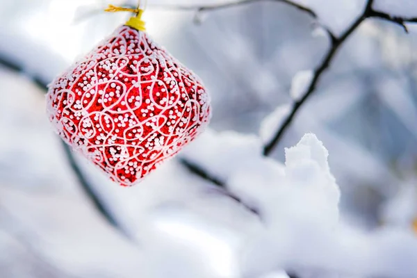 Julgranskula på den snöiga grenen. — Stockfoto