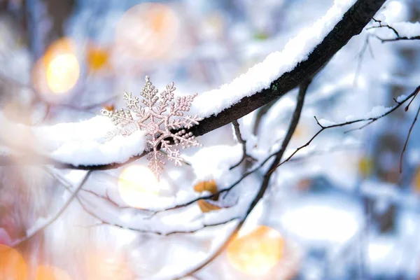 Flocon de neige de Noël sur la branche enneigée . — Photo