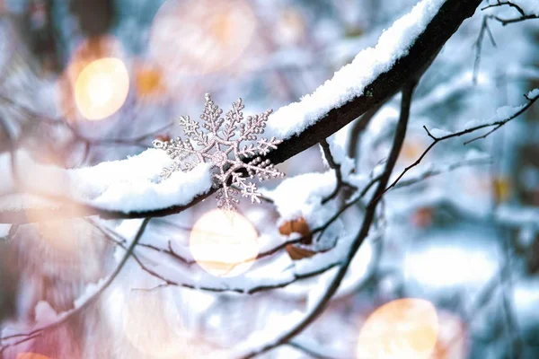 Świąteczne płatki śniegu na śnieżnej gałęzi. — Zdjęcie stockowe