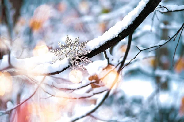 Flocon de neige de Noël sur la branche enneigée . — Photo