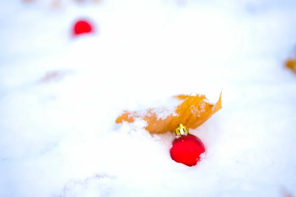 Boules de Noël rouges sur neige . — Photo