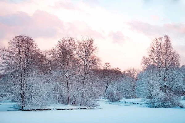 Paysage hivernal avec première neige — Photo