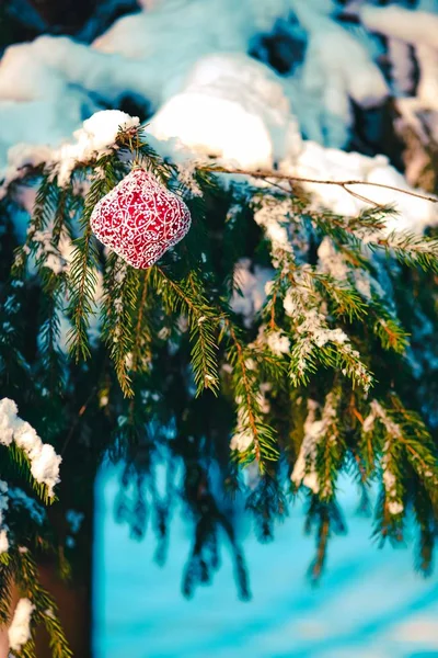 Boule de Noël sur la branche enneigée . — Photo