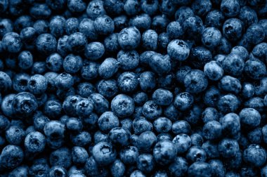 Yabanmersini mavi arka plan