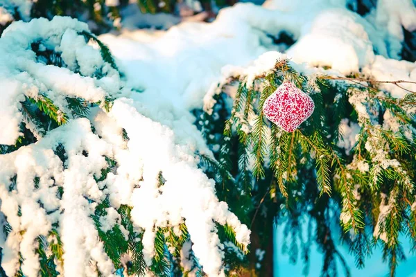 Boule de Noël sur la branche enneigée . — Photo
