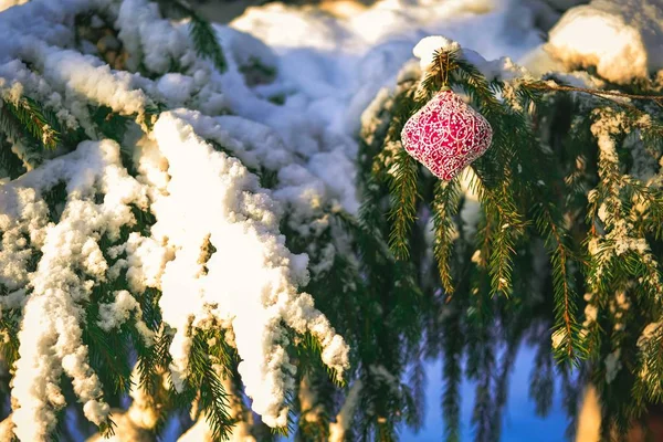 Świąteczna bombka na śnieżnej gałęzi. — Zdjęcie stockowe